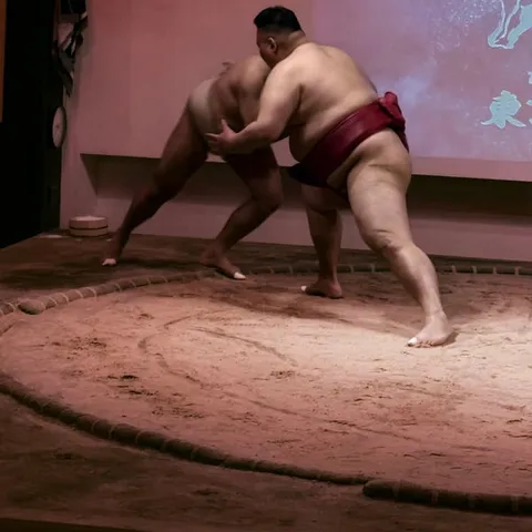 Two wrestlers locked together during a Ginza sumo show