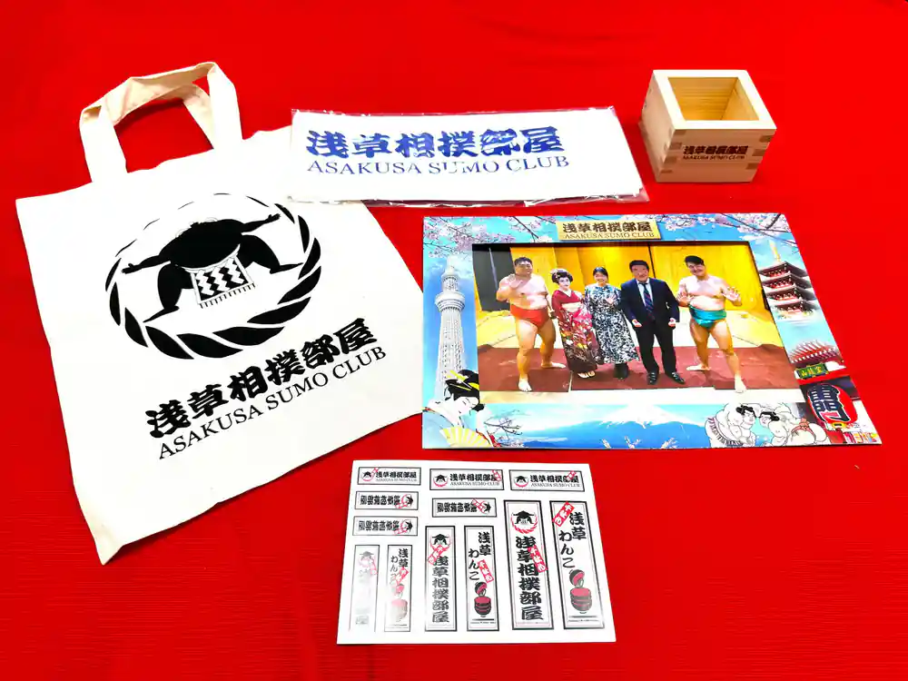 Merchandise display including bags and promotional materials