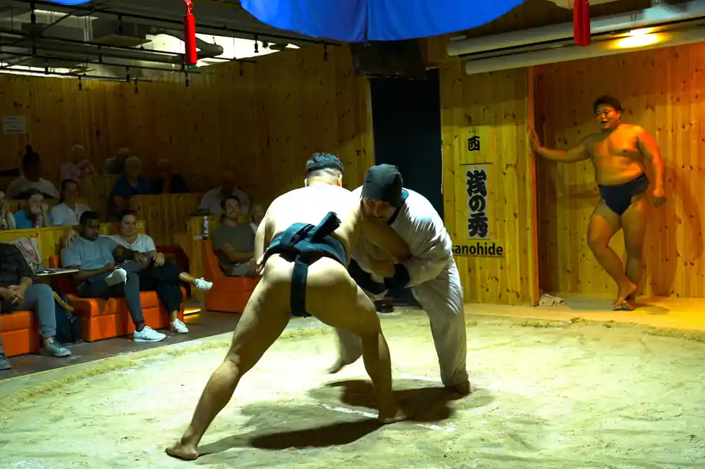 Sumo wrestlers engaged in ground grappling with spectators present